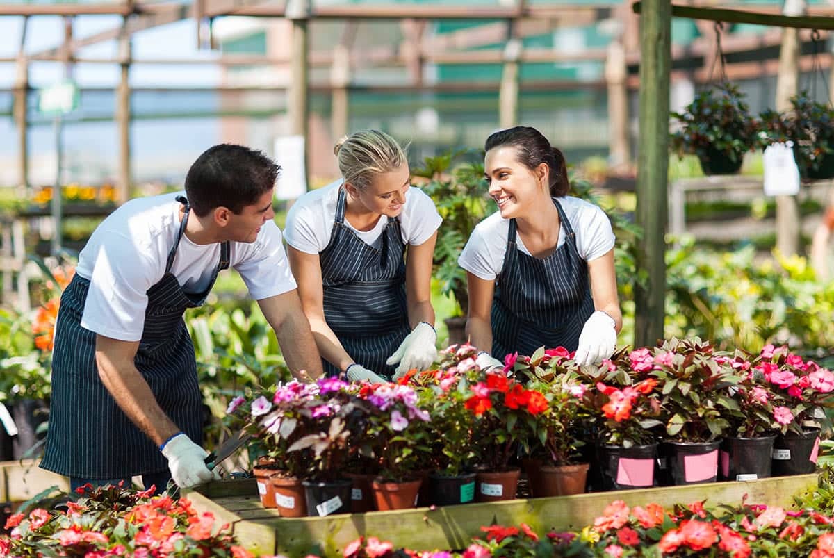 Diaco's Garden Nursery - Diaco's Garden Centre