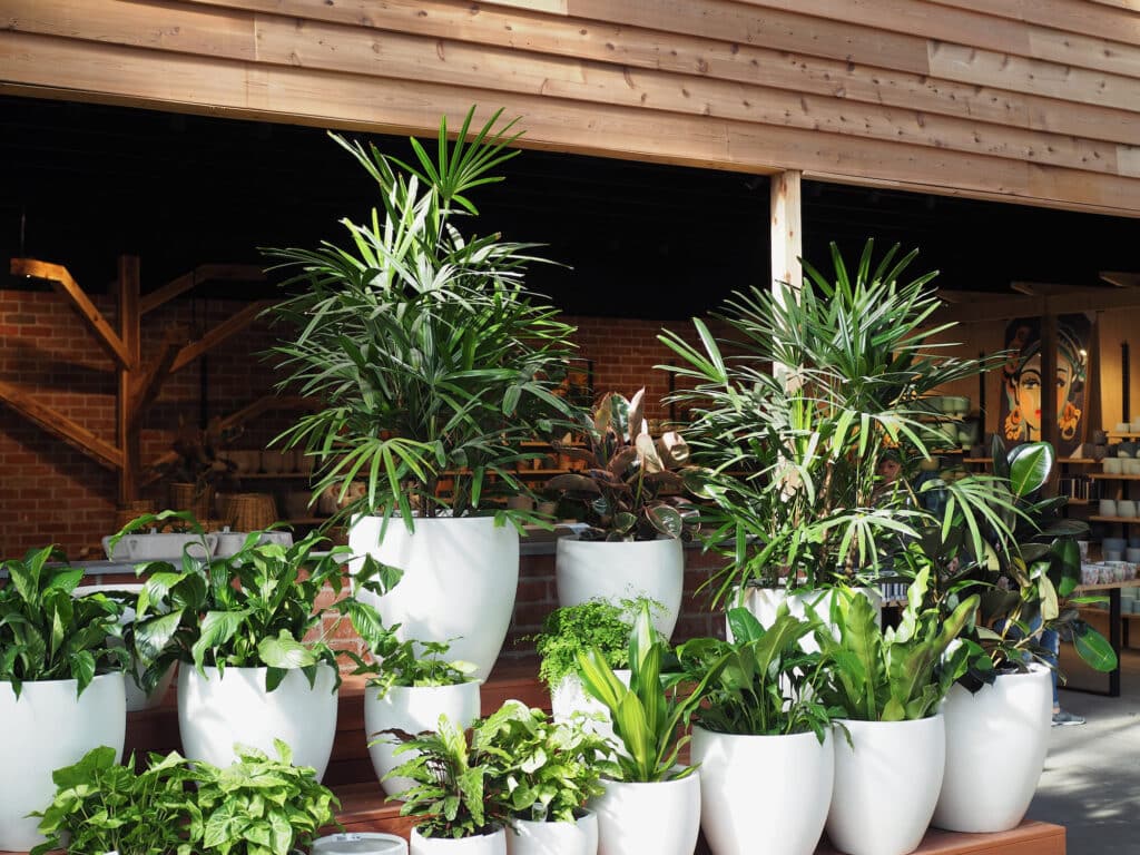 Lightweight Pots