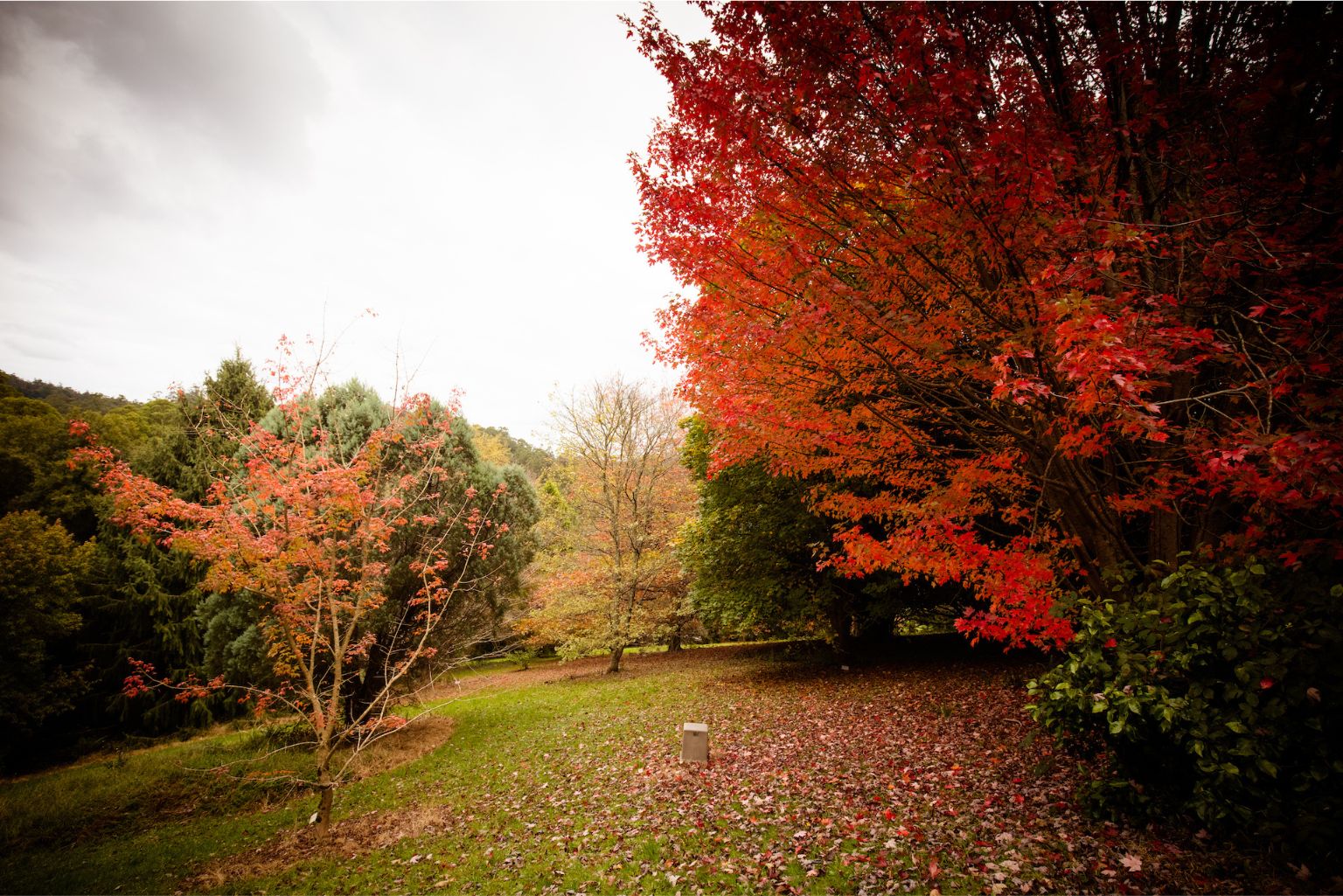 Prepare Your Garden for Autumn