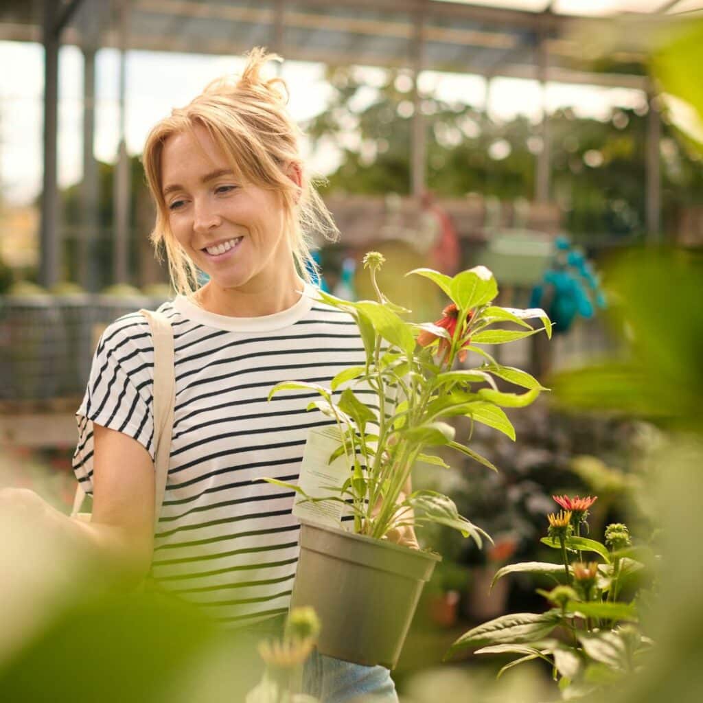 Garden Centre