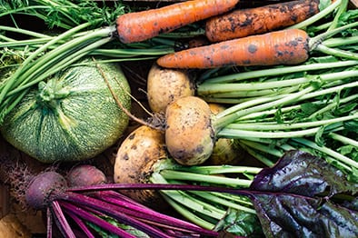 How to Start Your Winter Veggie Patch