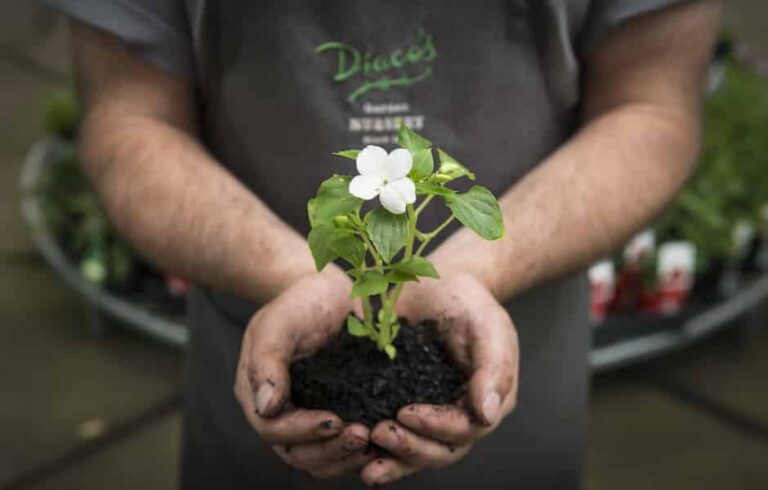 Soil tips for gardening and composting