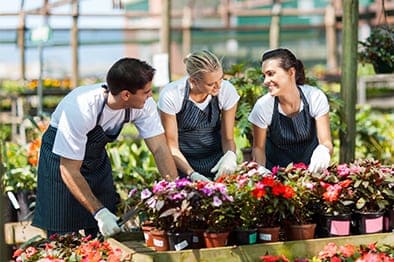 A Seasonal Guide to Autumn Vegetables