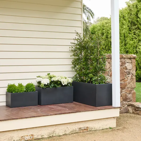 Asher Trough