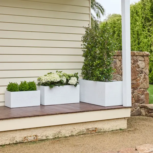 Asher Trough - Image 2