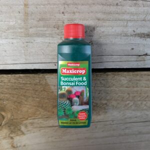 Succulent and Bonsai Food