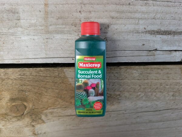 Succulent and Bonsai Food