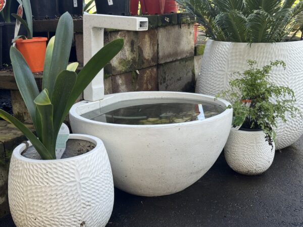 Patio Pond - Image 2