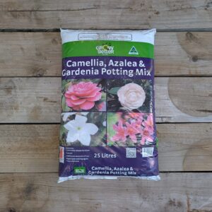 Gardenia, Azalea and Camellia Potting Mix