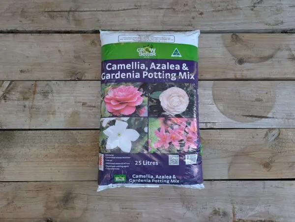 Gardenia, Azalea and Camellia Potting Mix