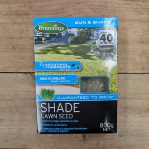 Shade Lawn Seed