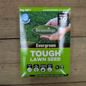 Tough Lawn Seed