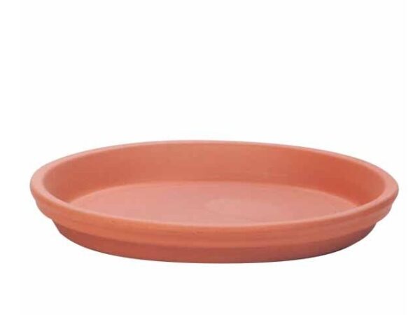 Terracotta Saucer