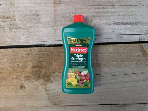 Triple Strength Concentrate