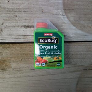 EcoBug Insect and Mite Spray Concentrate