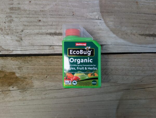 EcoBug Insect and Mite Spray Concentrate