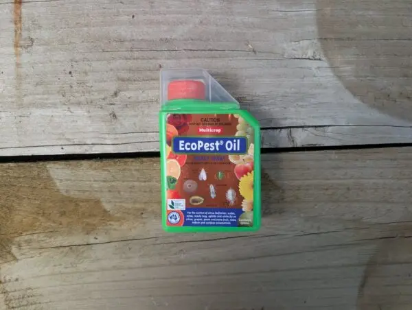 EcoPest Oil