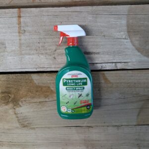 Pyrethrum Long Life