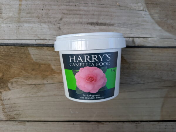 Harry's Camellia Food