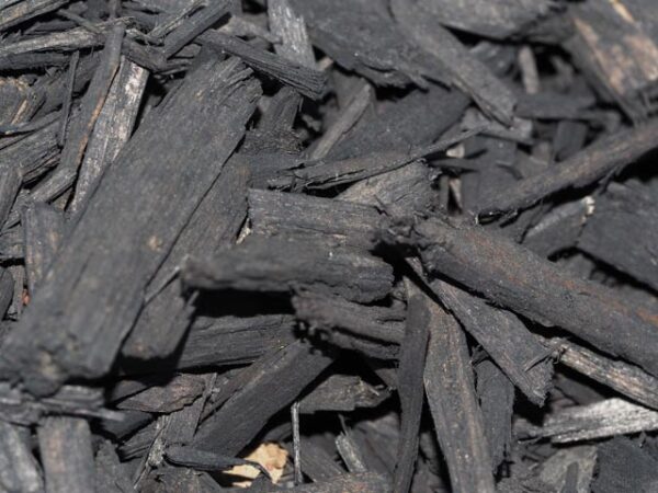 Diaco's Mulch Blackwood - Image 2