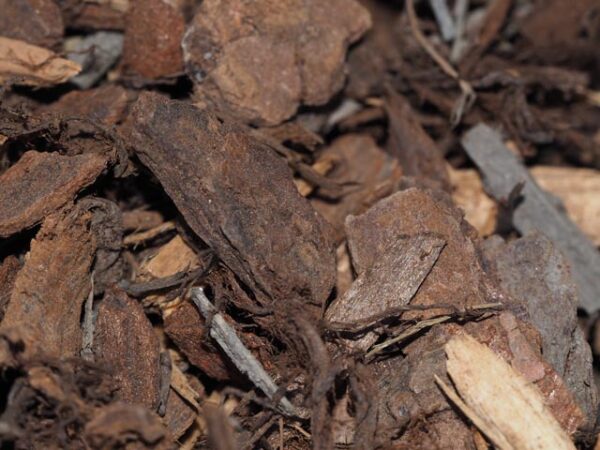 Diaco's Pine Bark Mulch - Image 2