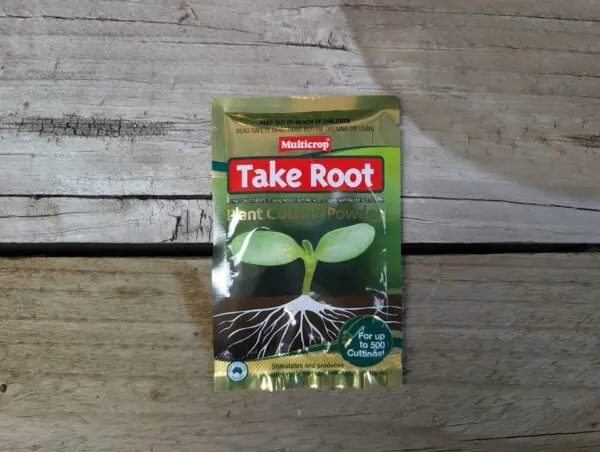 Take Root Plant Cutting Powder