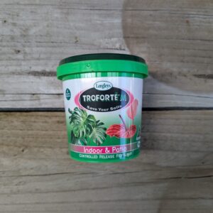 Troforte M Indoor and Patio