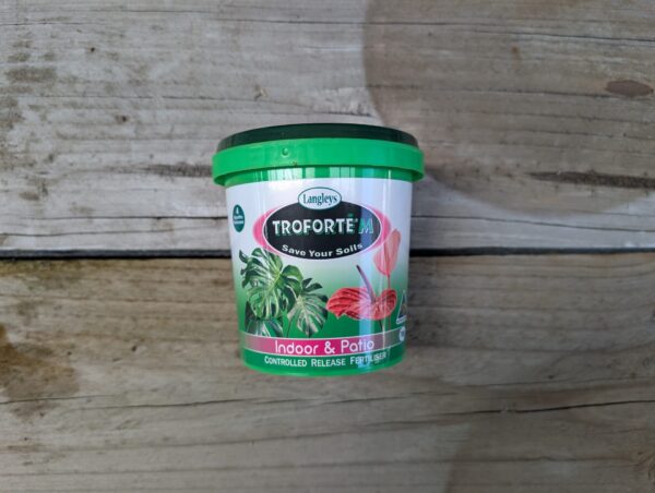 Troforte M Indoor and Patio