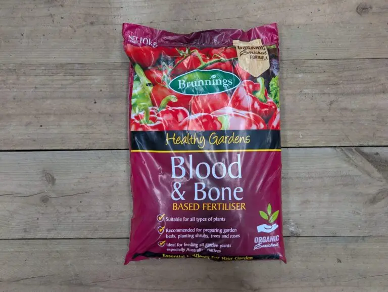 Blood and Bone