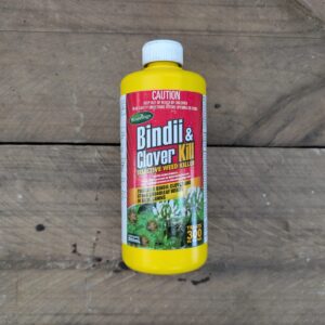 Bindii & Clover Kill