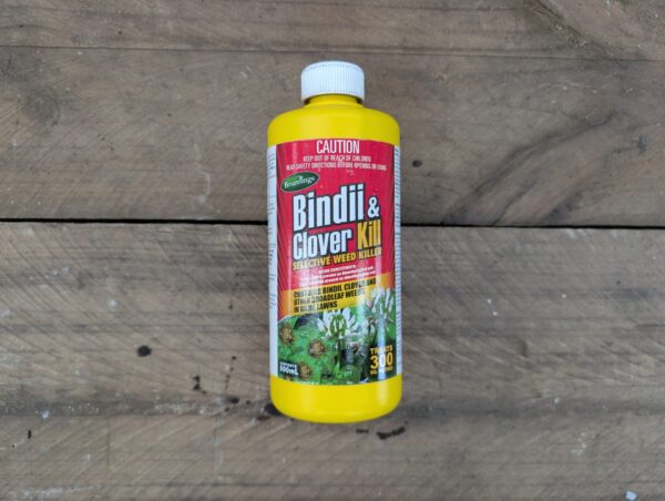 Bindii & Clover Kill