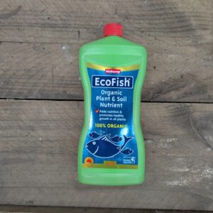 EcoFish