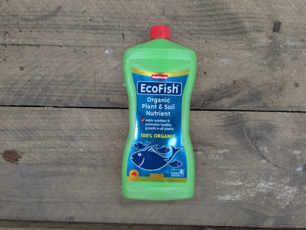 EcoFish