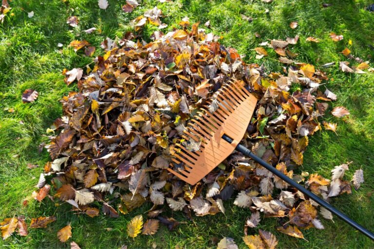 The Ultimate Guide to Mulching Leaves: Transform Your Yard with this Eco-Friendly Hack
