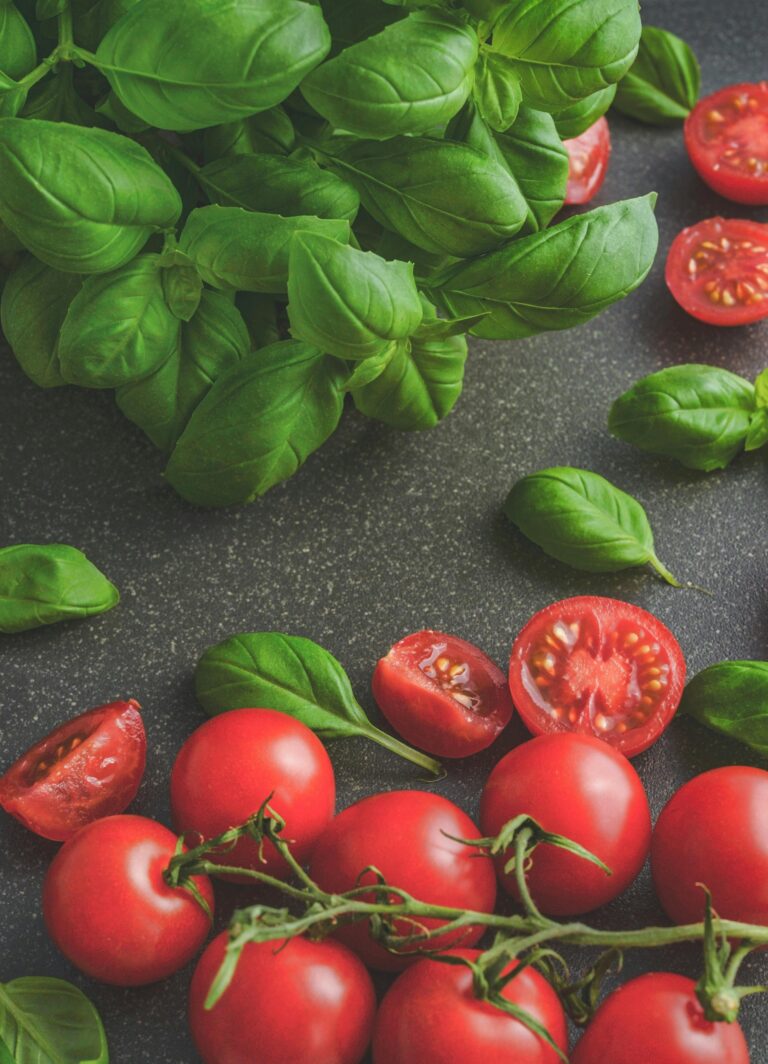From Seed to Sauce: Growing and Cooking with Tomatoes and Basil