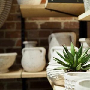 Diaco's Exclusive range