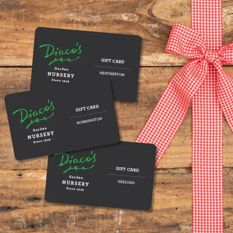 Diaco’s Garden Nursery Gift Voucher