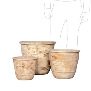 Antiqua Dimitri Cone