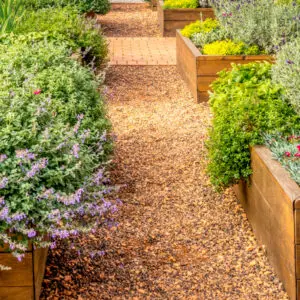 Vegetables and Herbs