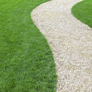 Screenings and Toppings