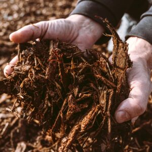 Mulch