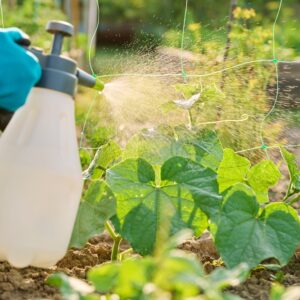 Pesticides and Herbicides