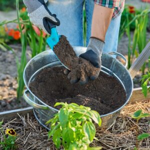 Composts and Soil