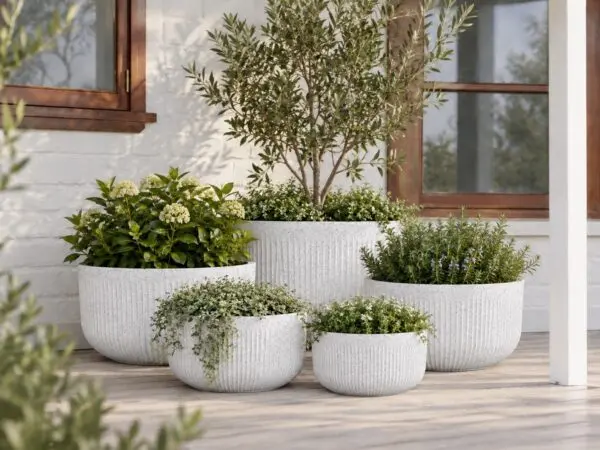 Chord Large Bowls