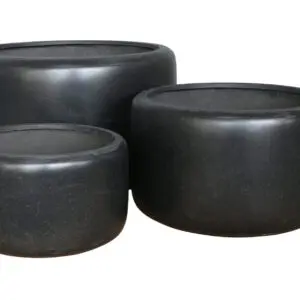 Bubble Bowl
